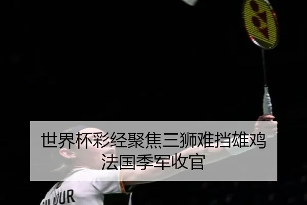 世界杯彩经聚焦三狮难挡雄鸡 法国季军收官